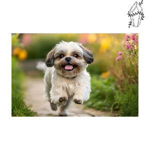 Diamond Painting Walk of a Shih Tzu