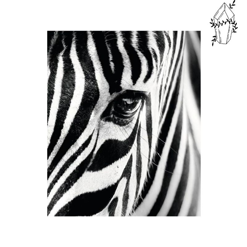 Diamond painting Face of Zebra | Diamond-painting-club.us