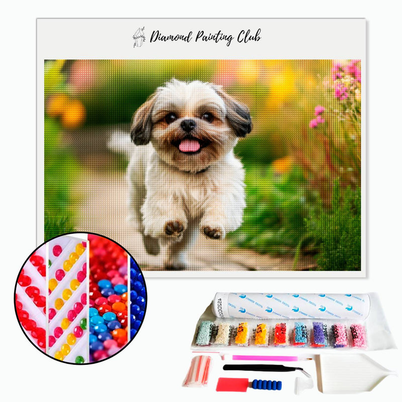 Diamond Painting Walk of a Shih Tzu