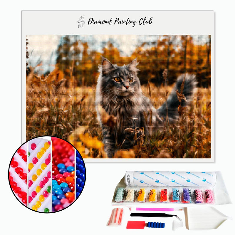 Diamond Painting Maine Coon on a Walk