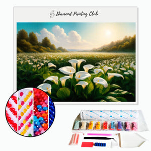 Diamond Painting Arum Fields