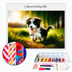 Diamond Painting Border Collie Puppy