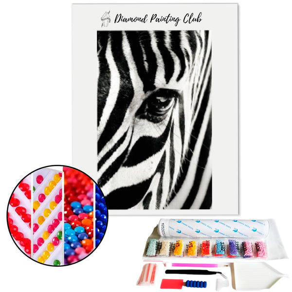 Diamond painting Face of Zebra | Diamond-painting-club.us