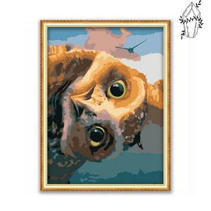 Diamond Painting Cuckoo Owl | Diamond-painting-club.us