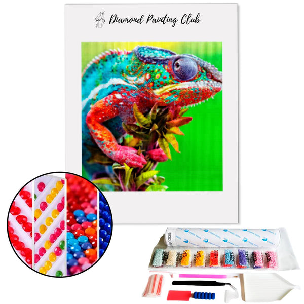 Diamond painting Chameleon Multicolor | Diamond-painting-club.us