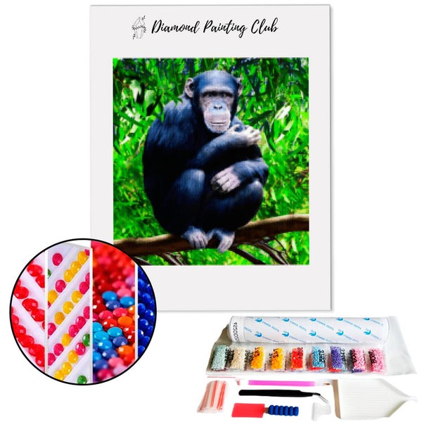 Diamond Painting Chimpanzee | Diamond-painting-club.us