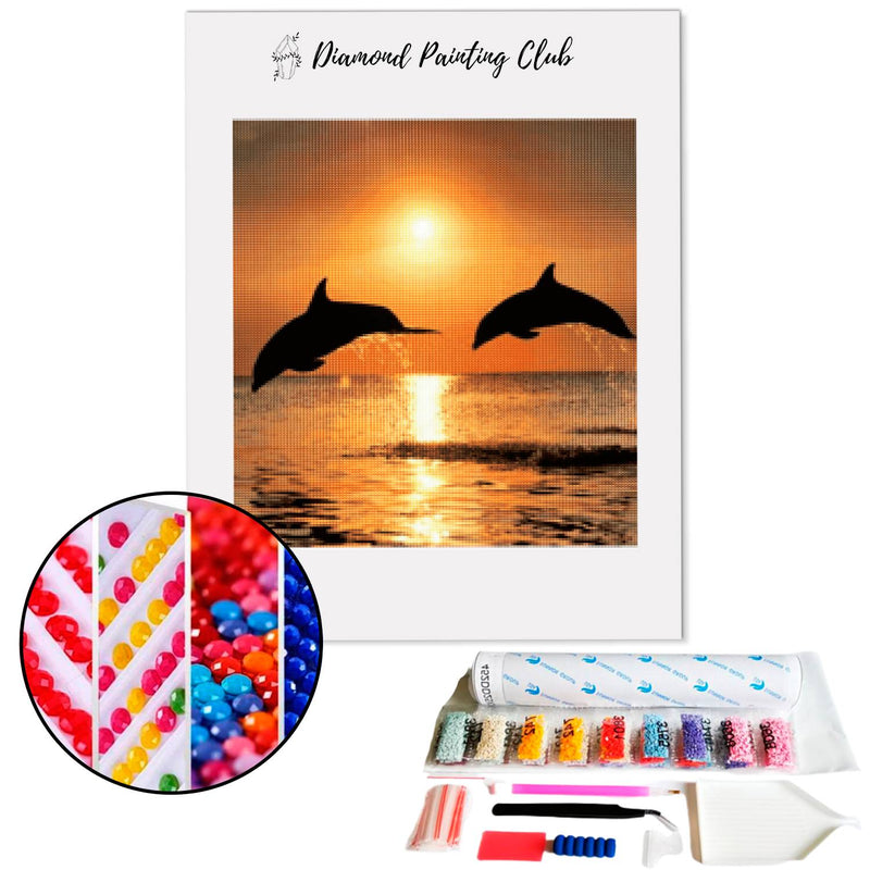 Diamond Painting Dolphin at Sunset | Diamond-painting-club.us