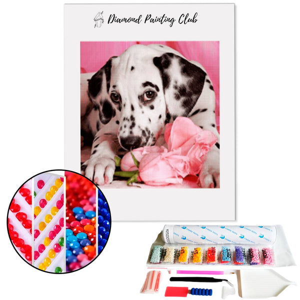 Diamond Painting Dalmatian Puppy | Diamond-painting-club.us