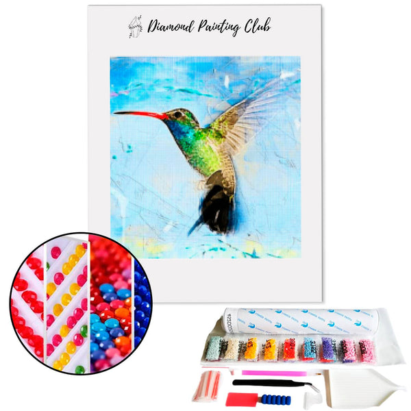 Diamond Painting Colibri | Diamond-painting-club.us