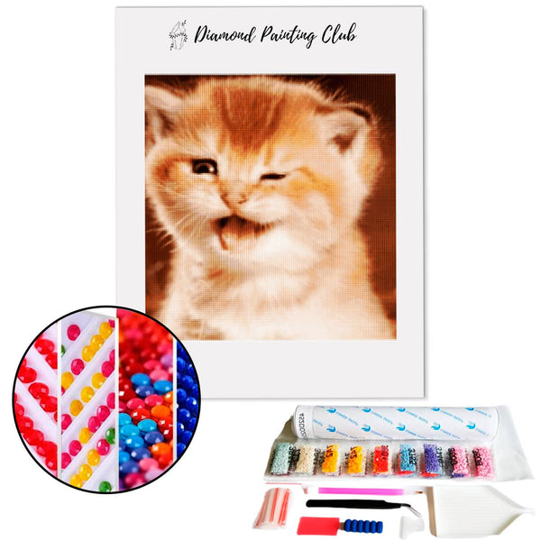 Diamond painting Red Kitten | Diamond-painting-club.us