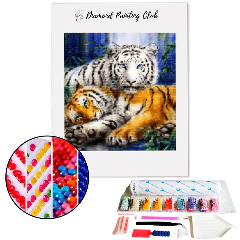 Diamond painting White and Red Tigers. | Diamond-painting-club.us