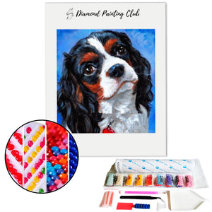 Diamond Painting Cavalier King Charles | Diamond-painting-club.us