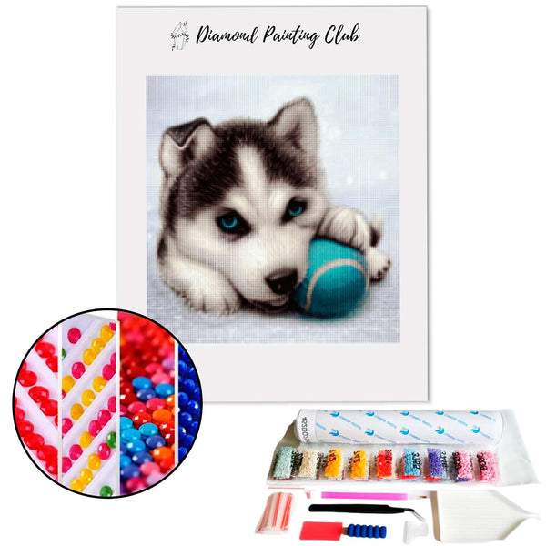 Diamond Painting Baby Husky | Diamond-painting-club.us