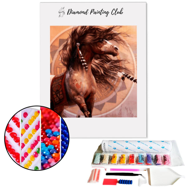 Diamond painting Apache Horse | Diamond-painting-club.us