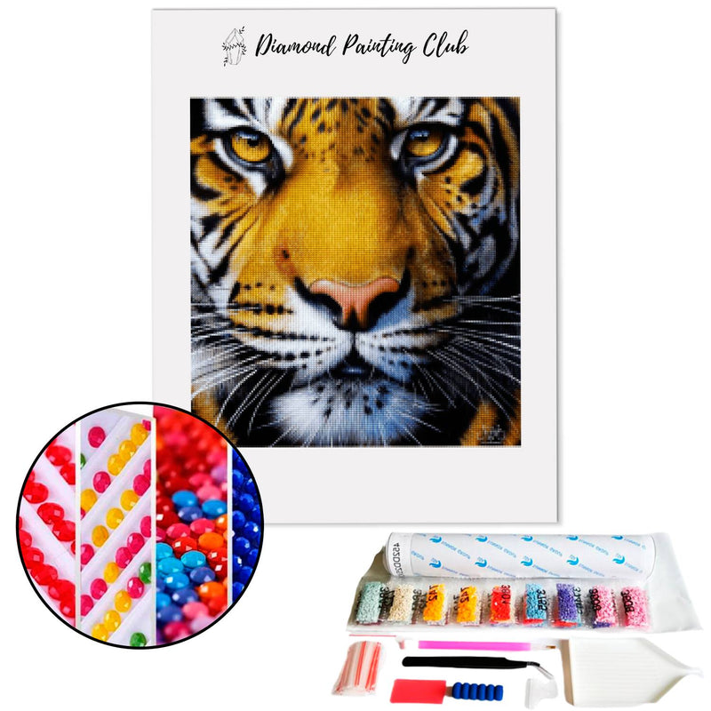 Diamond Painting Tiger's Gaze | Diamond-painting-club.us