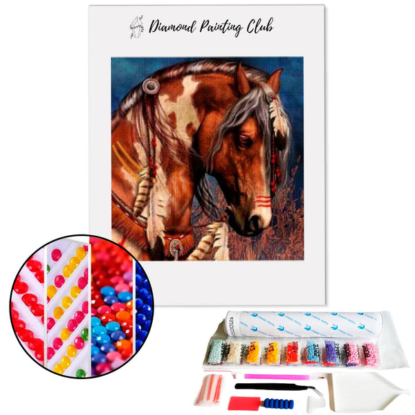 Diamond painting Indian Horse | Diamond-painting-club.us