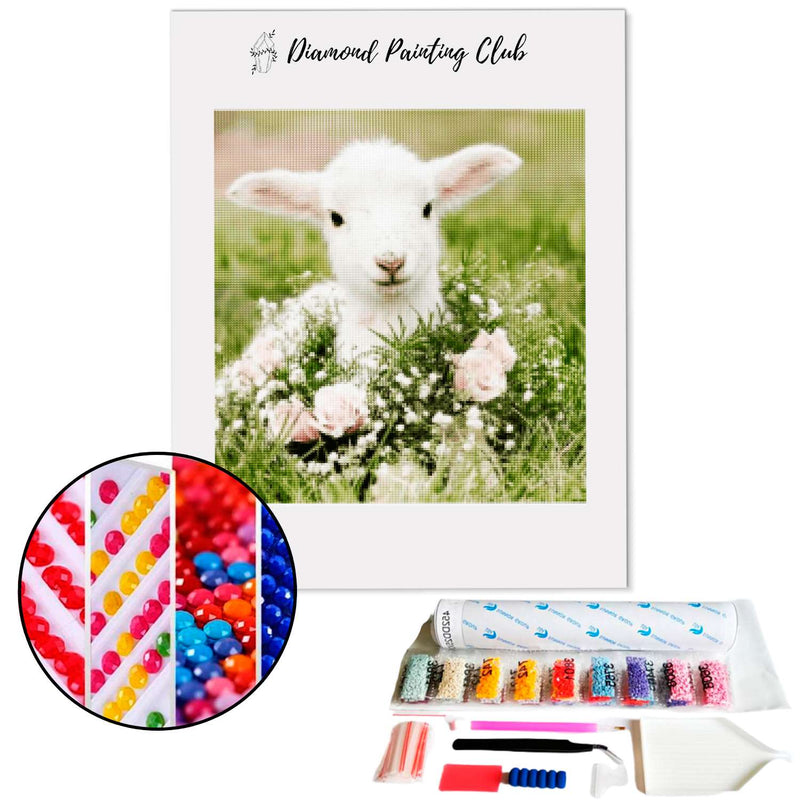 Diamond Painting Agneau dans un pré | Diamond-painting-club.us