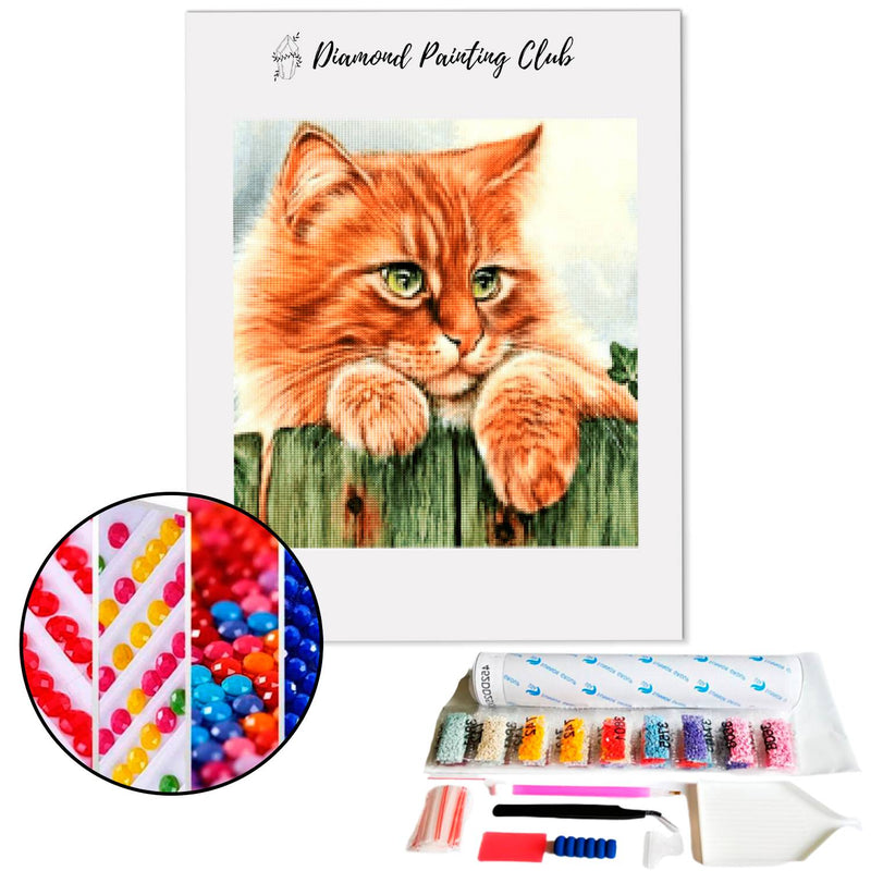 Diamond painting Orange tabby cat | Diamond-painting-club.us