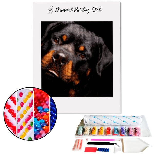Diamond painting Rottweiler Player | Diamond-painting-club.us