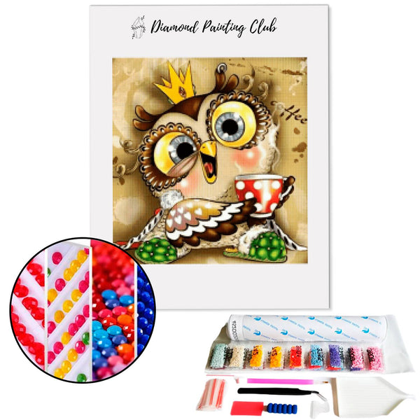 Diamond painting Crazy Owl | Diamond-painting-club.us