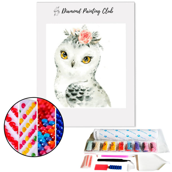 Diamond painting Cute Little Owl. | Diamond-painting-club.us