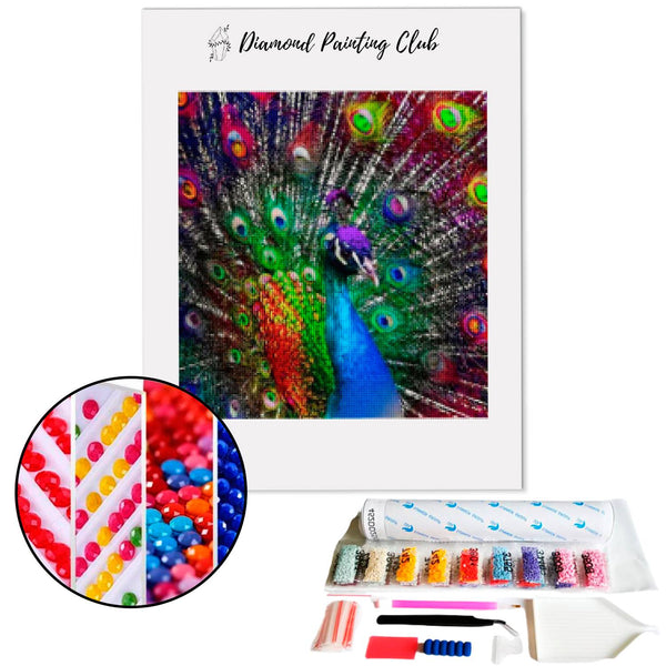Diamond Painting Multicolored Peacock | Diamond-painting-club.us