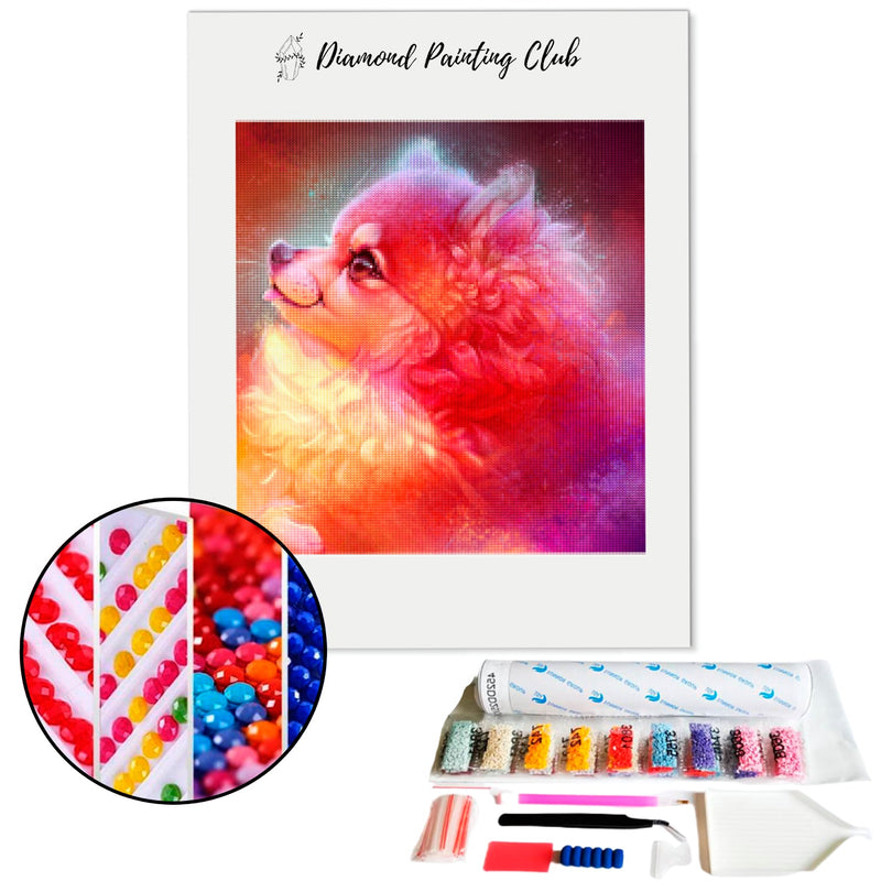 Diamond Painting Dazzling Spitz | Diamond-painting-club.us