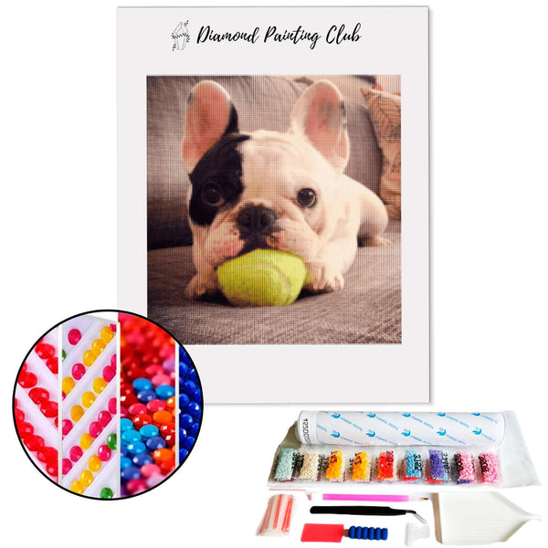 Diamond painting French Bulldog and its ball | Diamond-painting-club.us