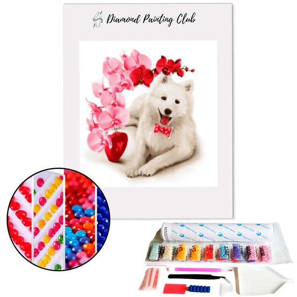 Diamond Painting White Dog Love | Diamond-painting-club.us