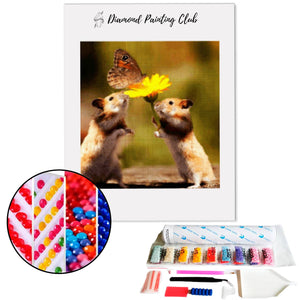 Diamond painting Hamster & Dandelion | Diamond-painting-club.us