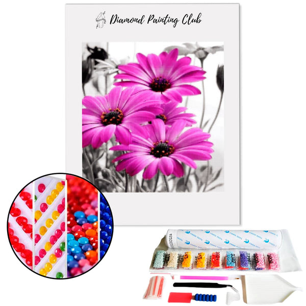 Diamond painting Violette Daisy | Diamond-painting-club.us