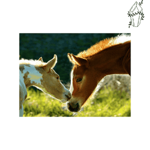 Diamond Painting Mare and her Foal | Diamond-painting-club.us