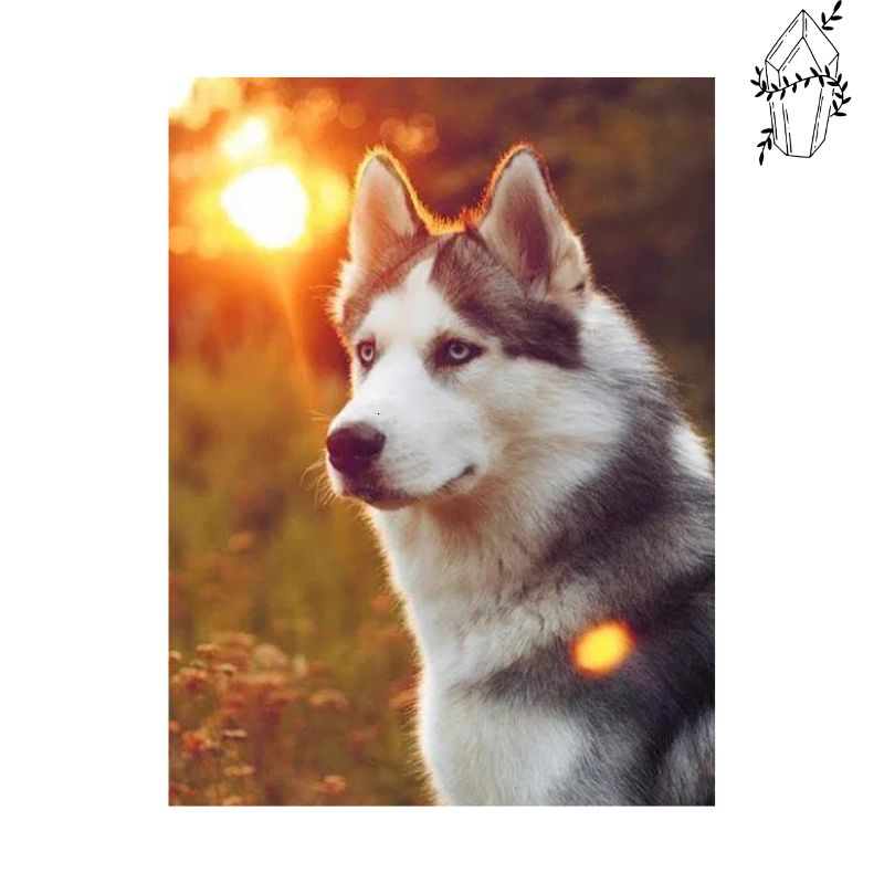 Diamond Painting Sunset Husky | Diamond-painting-club.us