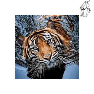 Diamond Painting Tiger in Water. | Diamond-painting-club.us