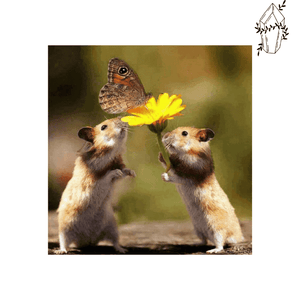 Diamond painting Hamster & Dandelion | Diamond-painting-club.us