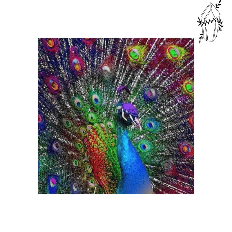 Diamond Painting Multicolored Peacock | Diamond-painting-club.us