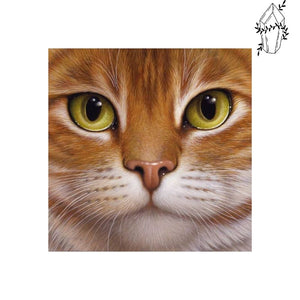 Diamond Painting Cat Face | Diamond-painting-club.us