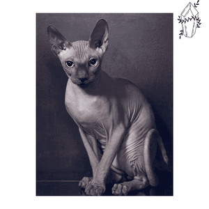 Diamond painting Sphinx Cat | Diamond-painting-club.us