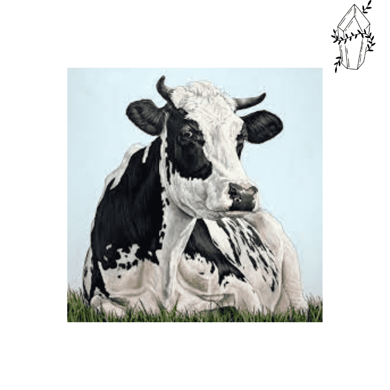 Diamond Painting Vache Prim'holstein | Diamond-painting-club.us