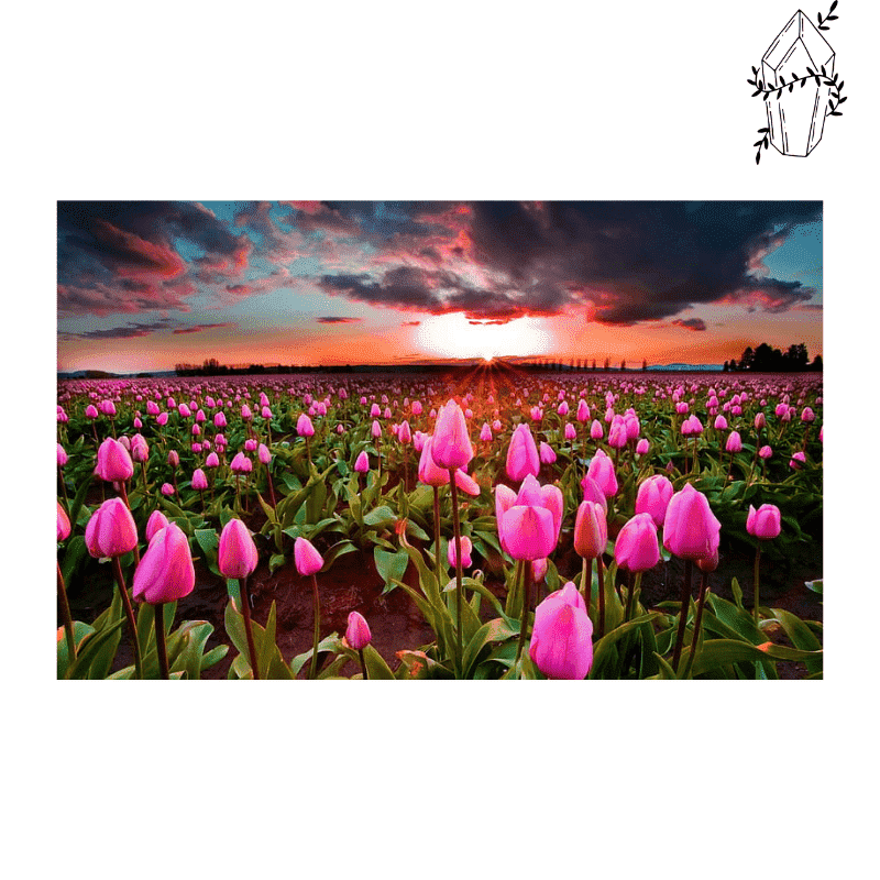 Diamond painting Tulip in bloom and sunset. | Diamond-painting-club.us