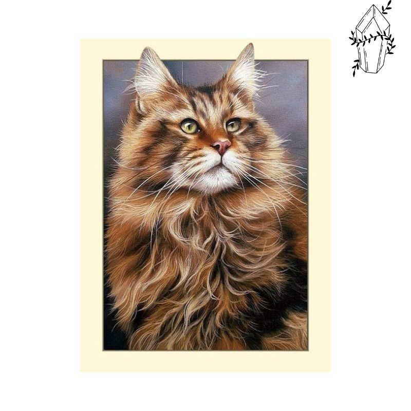 Diamond Painting Maine Coon | Diamond-painting-club.us