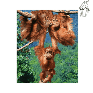 Diamond Painting Family of Orangutans | Diamond-painting-club.us