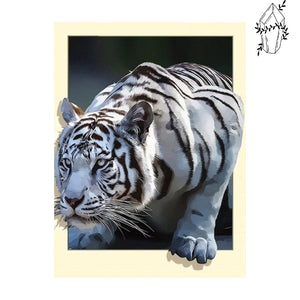 Diamond Painting White Tiger | Diamond-painting-club.us