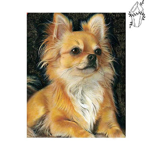 Diamond painting Long-haired Chihuahua | Diamond-painting-club.us
