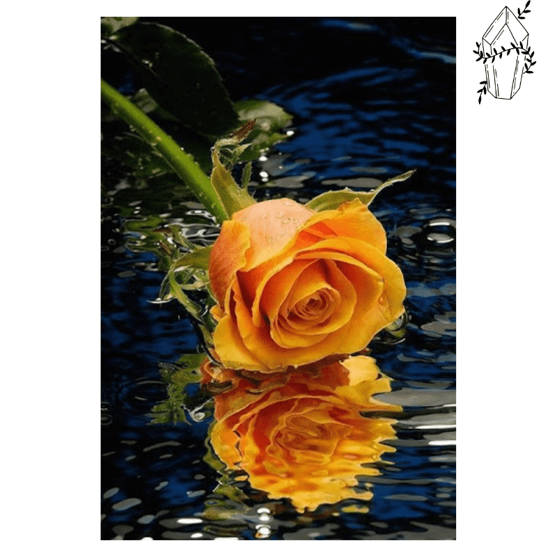 Diamond painting Orange Rose | Diamond-painting-club.us