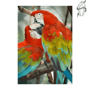 Diamond Painting Couple of Parrots. | Diamond-painting-club.us