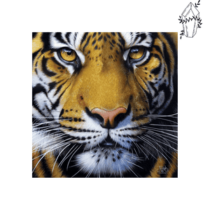 Diamond Painting Tiger's Gaze | Diamond-painting-club.us