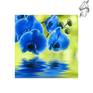 Diamond Painting Blue Orchid | Diamond-painting-club.us