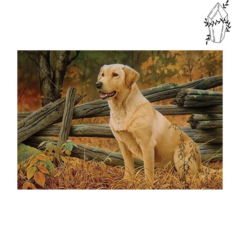 Diamond Painting Labrador & Autumn | Diamond-painting-club.us