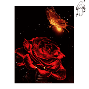 Diamond Painting Rose & Phoenix Butterflies | Diamond-painting-club.us